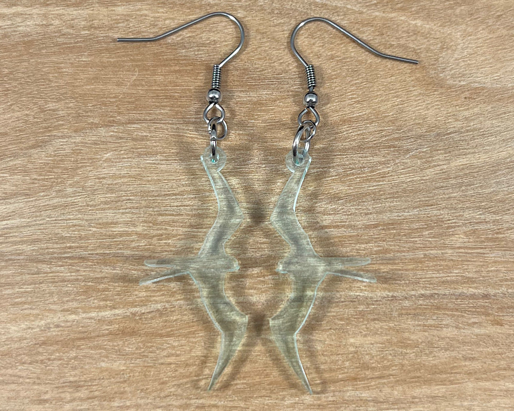 Glass Acrylic Iwa Earrings